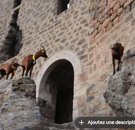 Tatil Evi Rue Tranquille *