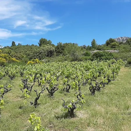 Rue Tranquille Tatil Evi