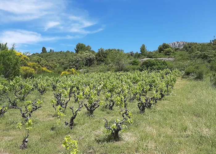 Rue Tranquille Casa vacanze